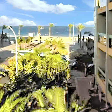 A Saint-cyprien Avec Vue Sur La - 24m² 생시프리앙